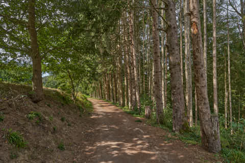 Gemeinde Waldkirchen Landkreis Freyung-Grafenau Saußbachklamm (Dirschl Johann) Deutschland FRG